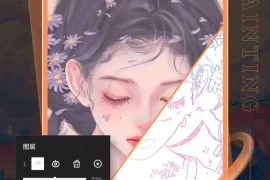 Sketchbook v6.1.1 安卓绿化版