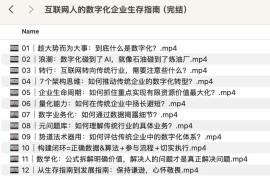 极客时间-视频课-沈欣-互联网人的数字化企业生存指南（完结）