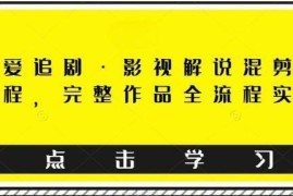 东少爱追剧·影视解说混剪搬运课程，完整作品全流程实操