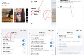 Twitter X v10.67 iOS绿化版