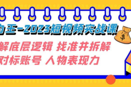 变现为王-豆包姐短视频实战课，了解短视频底层逻辑，找准并拆解对标账号，人物表现力