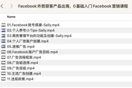 Facebook外贸获客产品出海，0基础入门Facebook营销课程