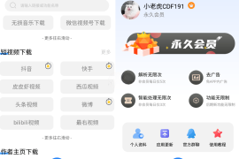 下载工具箱 v3.8.9 安卓绿化版