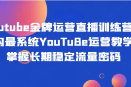 Youtube金牌运营直播训练营，国内最系统YouTuBe运营教学，掌握长期稳定流量密码