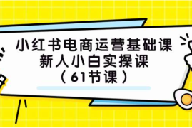 小红书电商运营基础课，新人小白实操课