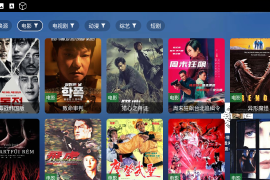 翠花TV v5.6.5 TV无广告版