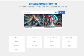 Twitter X 推特视频下载器