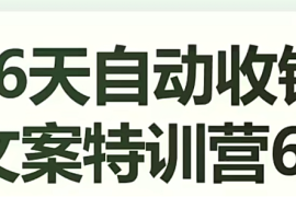 16天自动收钱文案特训营6.0，学会儿每天自动咔咔收钱