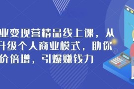 个人商业变现营精品线上课，从0到1升级个人商业模式，助你身价倍增，引爆赚钱力