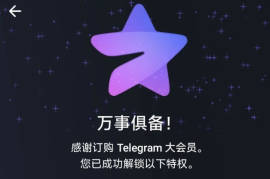 Telegram电报会员版，解锁商业版一系列本地会员功能