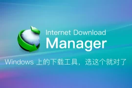 Internet Download Manager 6.42.25 绿色特别版 (IDM)